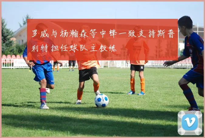 罗威与杨瀚森等中锋一致支持斯普利特担任球队主教练
