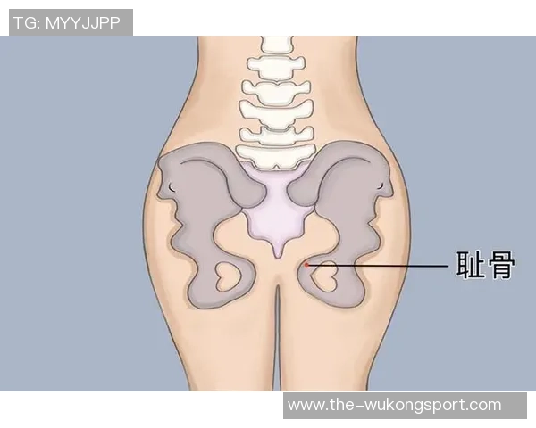 医生解析耻骨炎对亚马尔的影响及其过度使用损伤的成因与后果